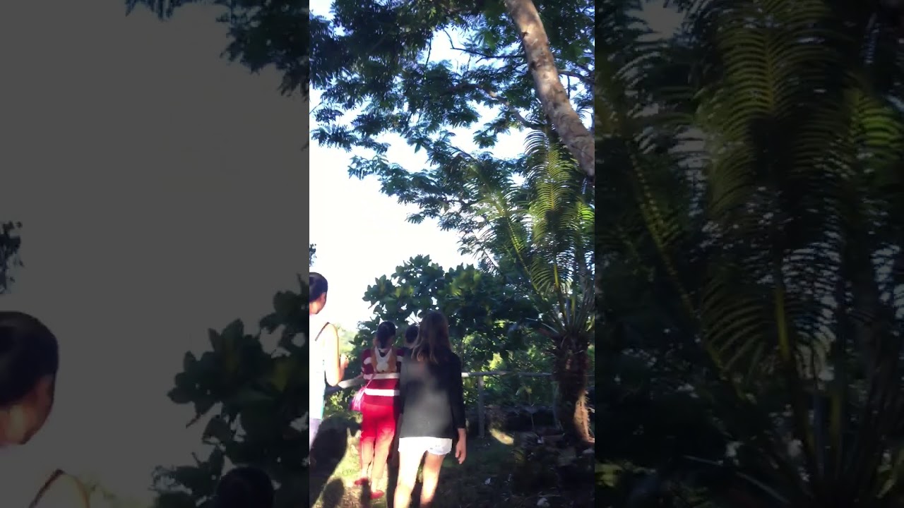 Davisol 🧗🏻‍♀️