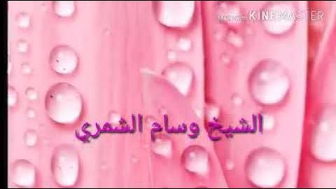 تلاوة الشيخ وسام الشمري