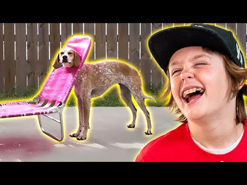 Kade’s Try Not To Laugh Challenge!