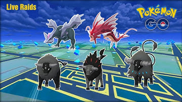 Live Kyurem and Paldean Tauros Raids | Pokémon Go | Yagnik009