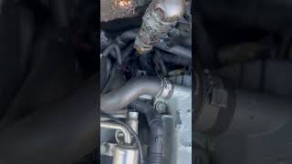 2004 Audi A8 4.2 Quattro coolant sensor location/replace #audicar #mechanic #auto-repair