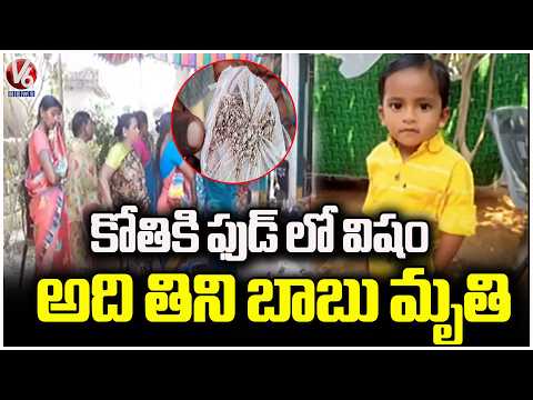 4 Years Old Boy Tragedy Incident In Mulugu District | V6 News - V6NEWSTELUGU