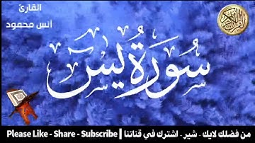 قران كريم سورة يس والواقعه القارى انس محمود #1 LIVE