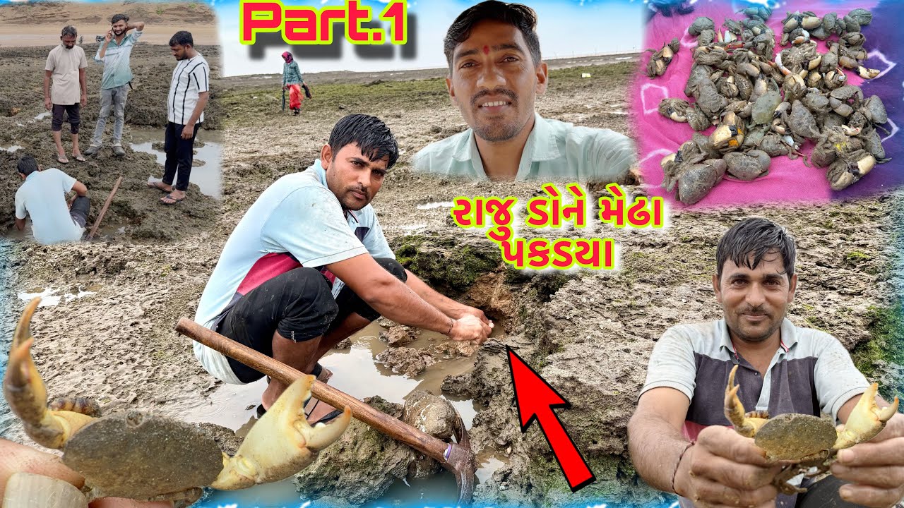 નવા દરીયા મા મેઢા પકડવા ગયા 🦀 dhaga fishing 🎣 dariyai khedut@desirasoikathiyawadi 