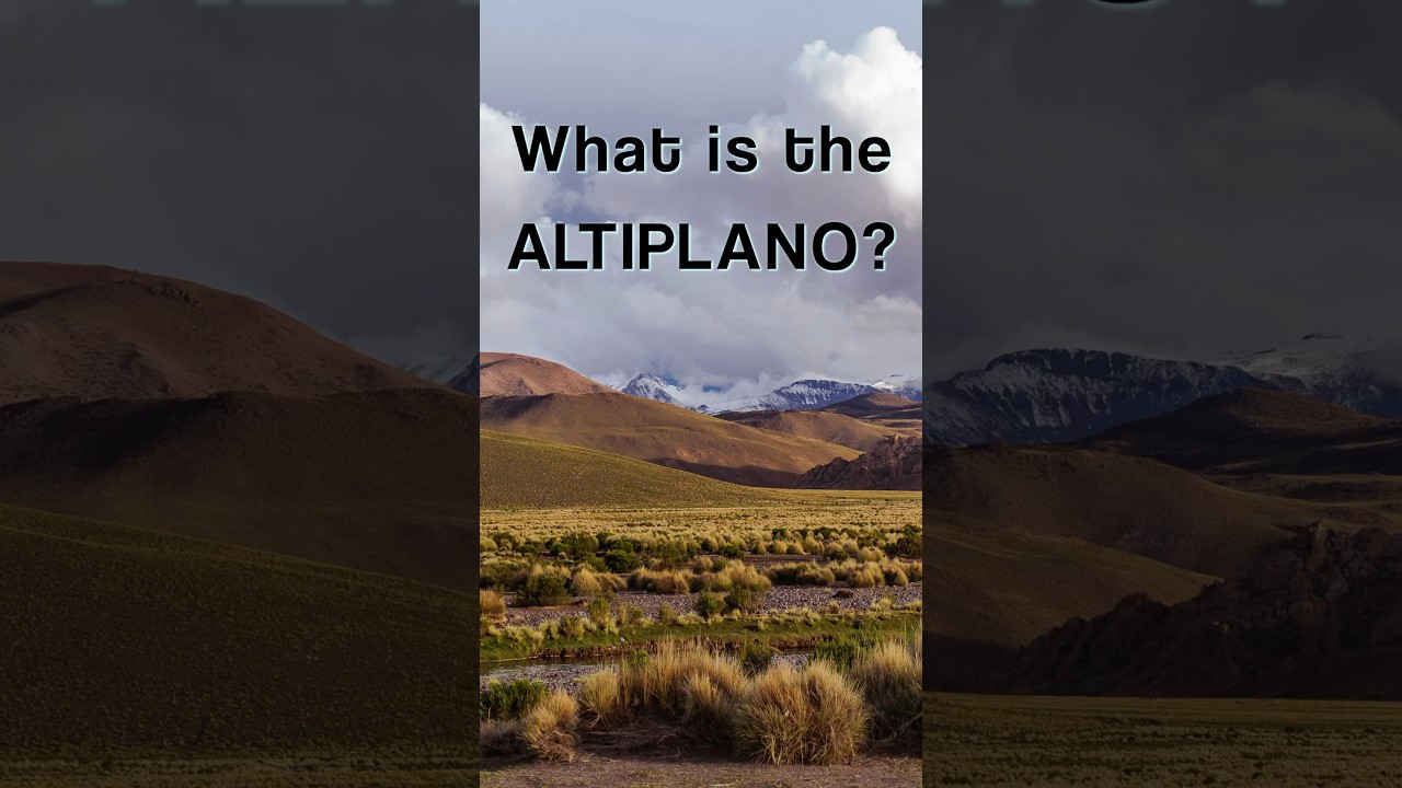 What is the Altiplano? 