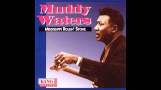 Muddy Waters - I Can't Call Her Sugar