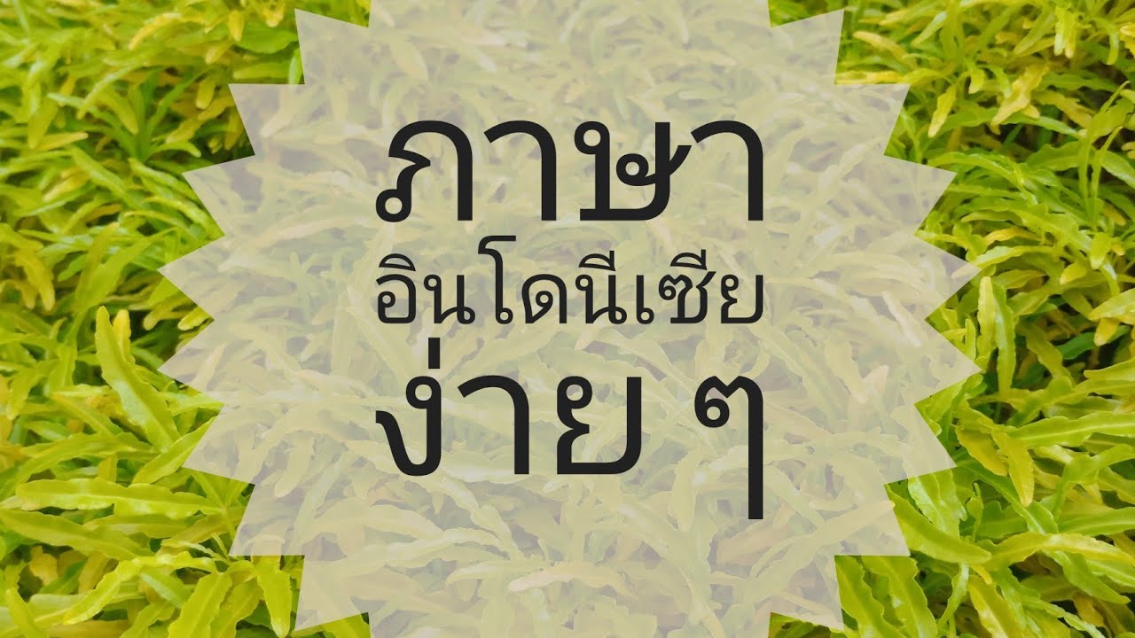 2 . Belajar Bahasa Indonesia | เรียนรู้ภาษาอินโดนีเซีย | ขอบคุณและขอโทษ