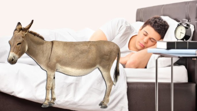 Voykovskaya metrosining fohishalari - vta-import.ru veb-saytida Qiziqarli porno onlayn