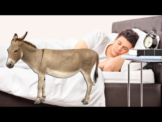 Natalya Varley porno filmda Yosh gozal qiz bilan jinsiy aloqa