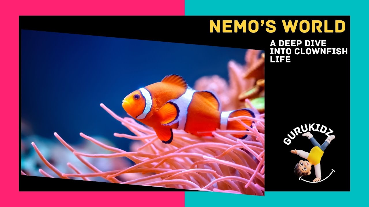 Nemo's World A Deep Dive into Clownfish life for Kids by GURUKIDS - YouTube