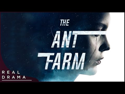 The Ant Farm still