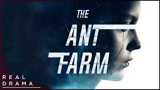 The Ant Farm