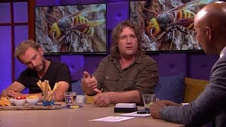 Wat Moet Je Doen Bij Een Bijen- Of Wespensteek? - Rtl Late Night