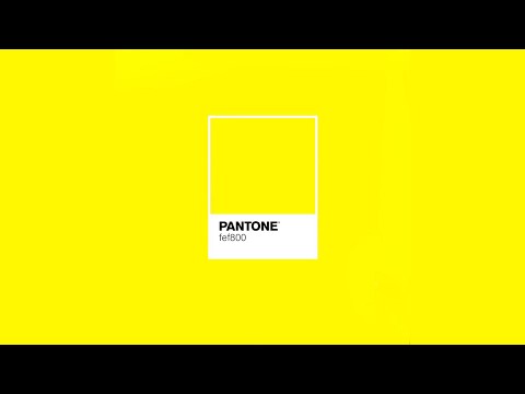 Maks Svoboda - Y (Album "Paints", 2019)