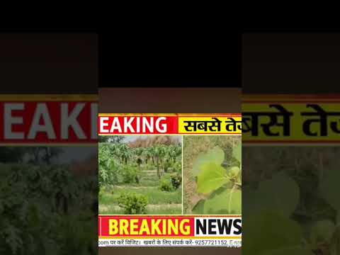 बायो डाइजेस्टर यूनिट में किचन वेस्ट से सफल ओर जीरो लागत आधुनिक खेती