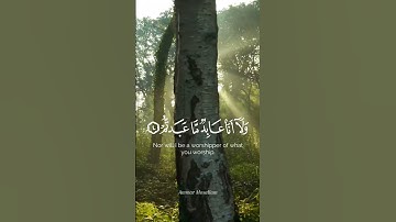 سورة الكافرون ( الشيخ محمد اللحيدان )