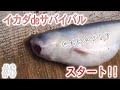 【冒険】アマゾン・イカダdeサバイバル！スタート！！