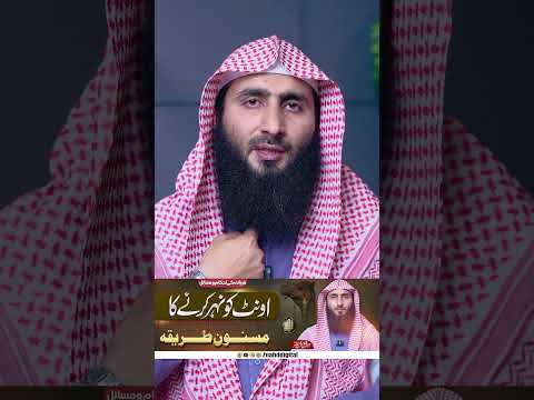 اونٹ کو نہر کرنے کا طریقہ | Nahd Digital