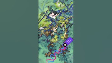 Python by Absofacto - imagination art ~ non- official music video #shorts