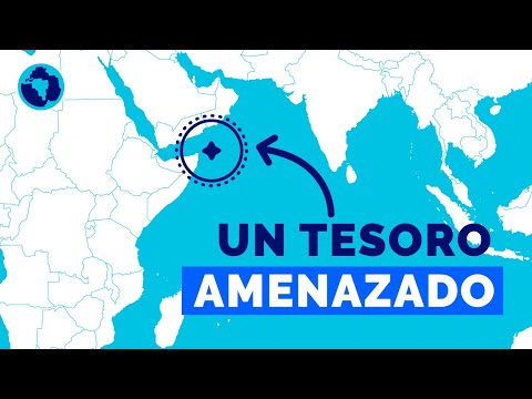 Vídeo: Cómo: Viajar A La Isla De Socotra, Yemen - Matador Network