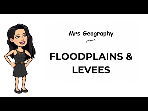 Floodplains & levees