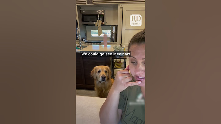 Dog Listens in on Owner's Fake Phone Call