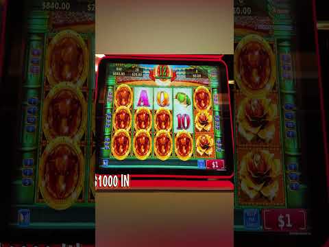 I HIT THE BIGGEST JACKPOT ON THIS!