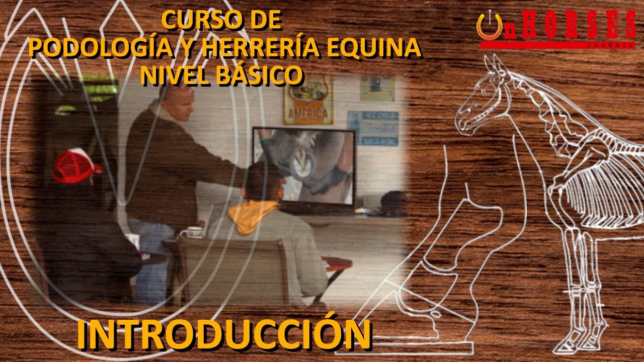 Introducción al Curso de Podología y Herrería Equina Nivel Básico