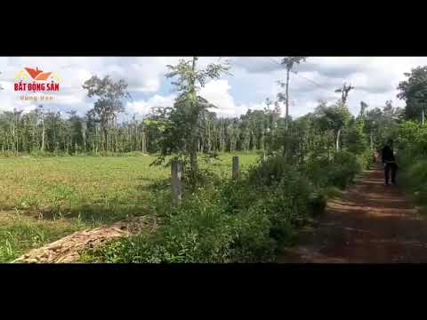 Video bán đất đẹp ở đắk lắk| bán đất giá rẻ ở đắk lắk | đất... - youtube