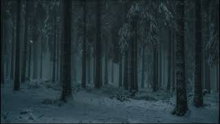 Psalm 69  3 Am Walk danielmp3  Christian Edit