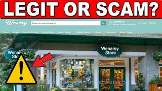 Wenarey.com Review - Legit or Just Another Scam?