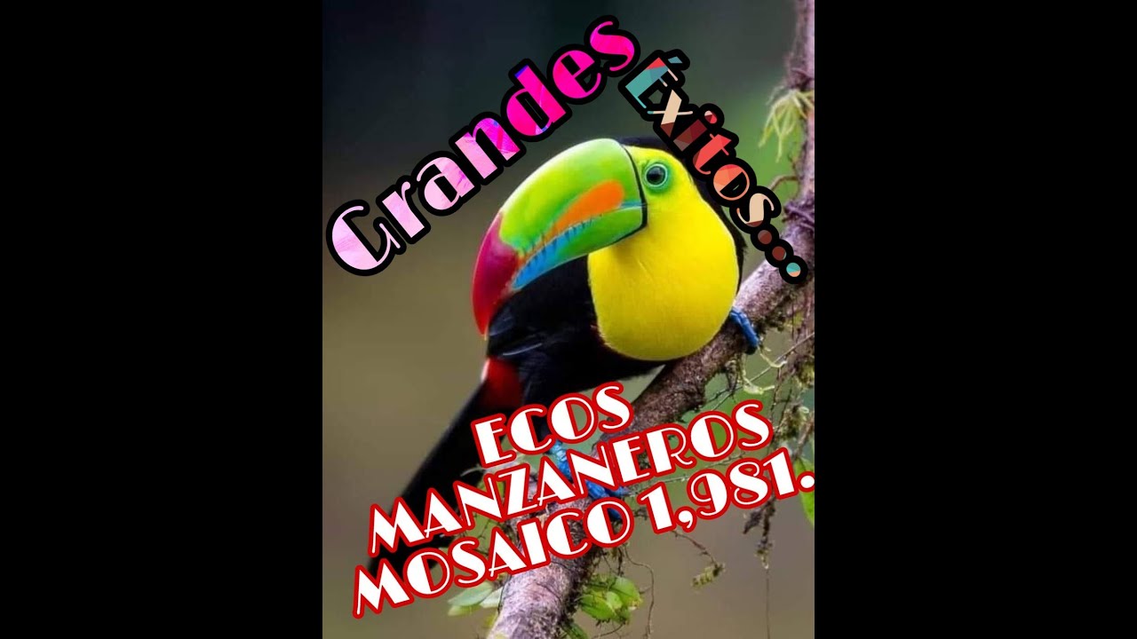 ECOS MANZANEROS (La Jacarandosa) MOSAICO 1,981