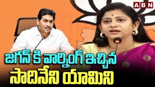జగన క వరనగ ఇచచన సదనన యమన Tdp Sadineni Y Sensational Comments On Jagan Abn