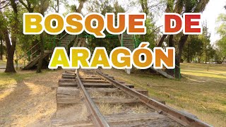 ASÍ ES EL BOSQUE DE ARAGÓN