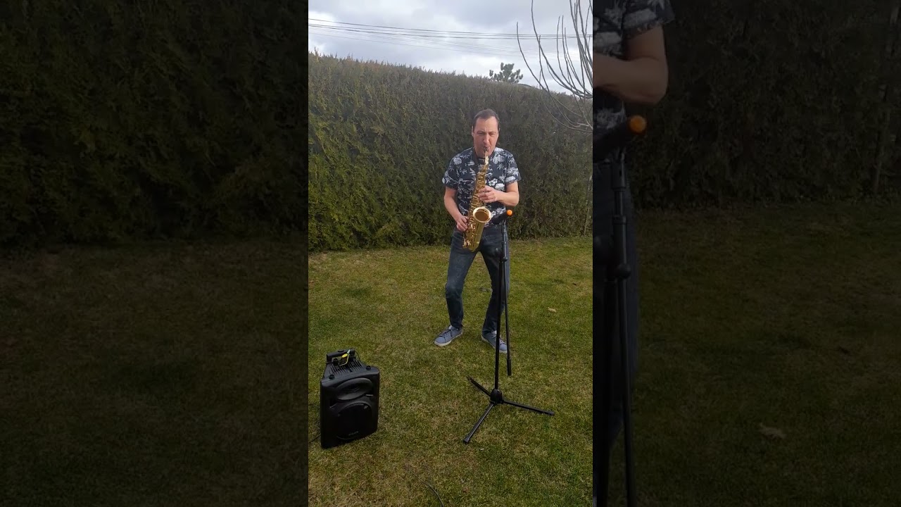 Saxophone house music