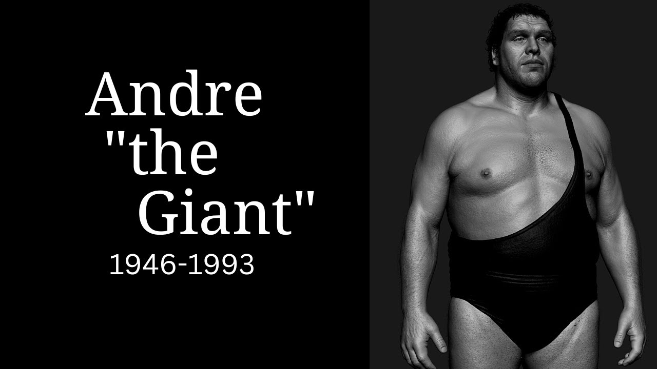 How Did Andre The Giant Die YouTube How did andre the giant die youtube