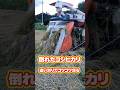 倒れたコシヒカリを追い刈りでコツコツ 関連動画に本編が