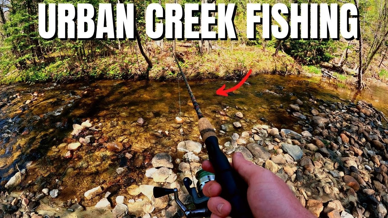 Brook Trout Fishing An Urban Creek (Anybody Can Do This!!) YouTube