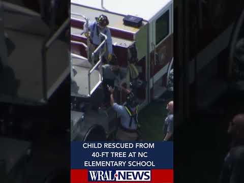 Child rescued from atop 40-foot tree at Cary elementary school