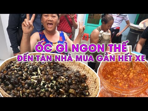 Video Truy tìm xe ốc cô móm sau nhiều ngày không mua được,... - youtube