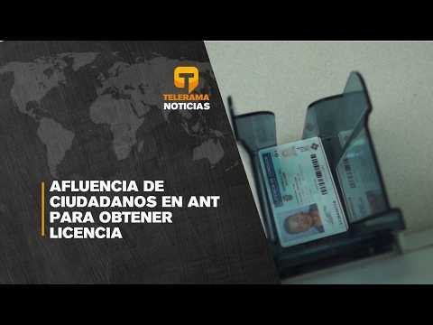 Afluencia de ciudadanos en ANT para obtener licencia