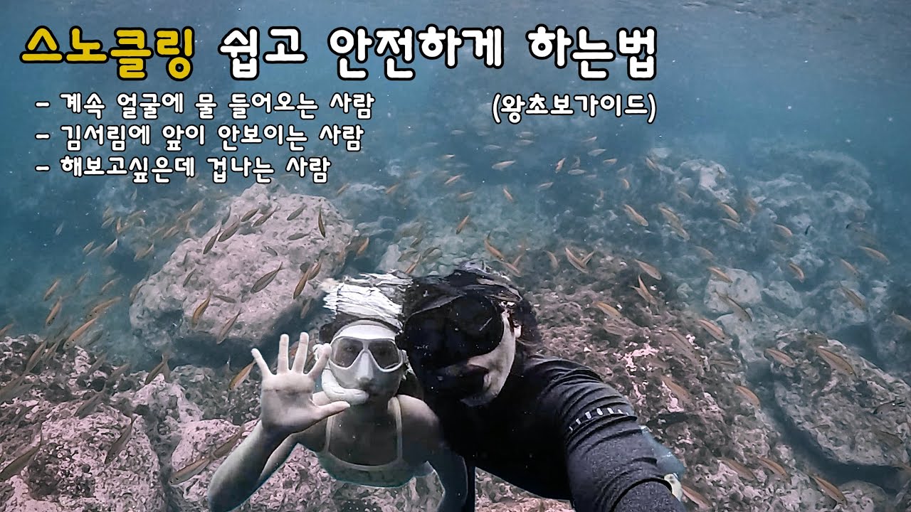 왕초보도 쉽게 스노클링 하는법(통영 연화도 스노클링 프리다이빙)ㅣFreedivingㅣ스노쿨링ㅣfreediverㅣ통영 물놀이ㅣ통영바다