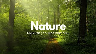 Nature Relaxing Sounds For #2m | Studying | Meditating | 2-Minute
