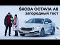 Загородный тест SKODA OCTAVIA A8 2021: к экотропам Питера