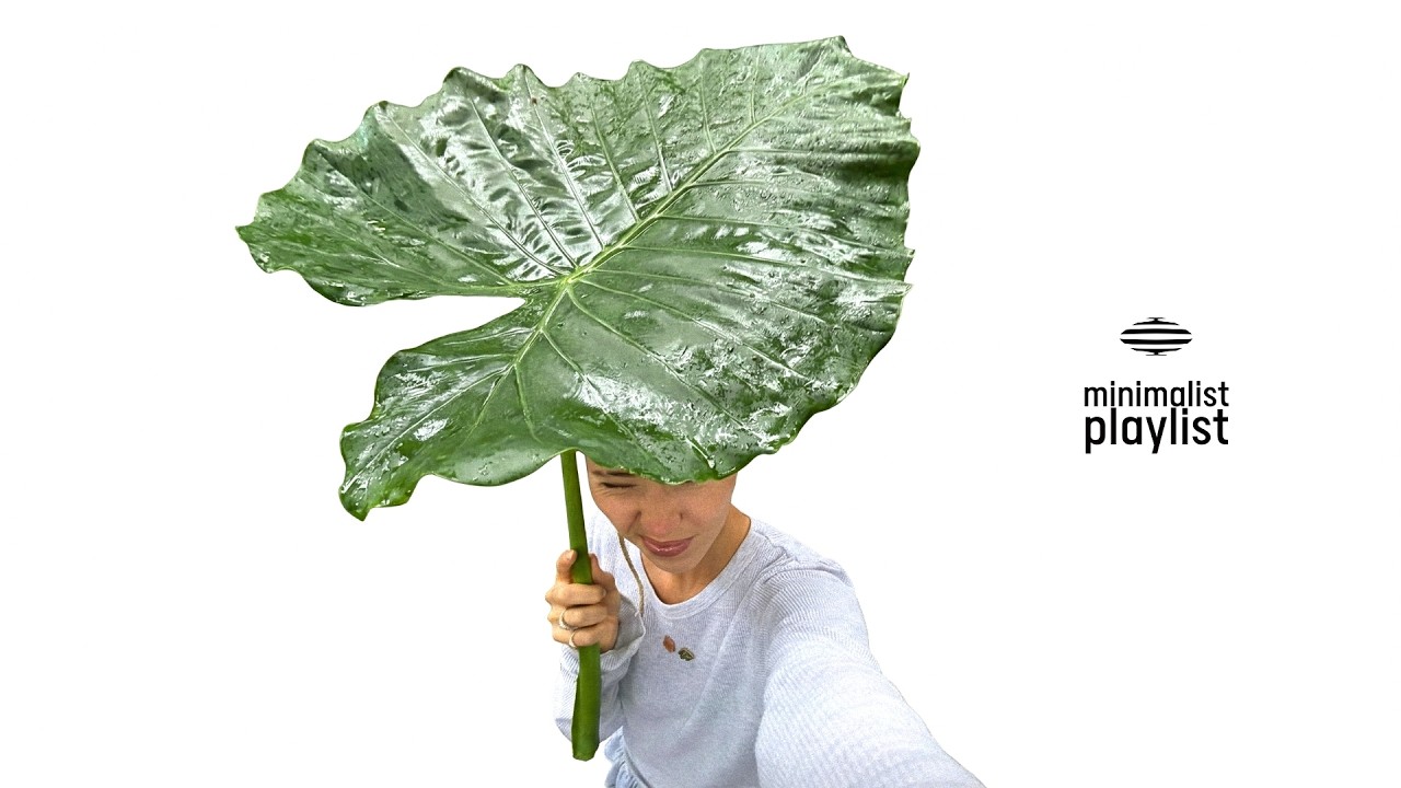 헤매지 않으면 해낼 수 없습니다 | playlist