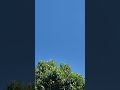 숲의 정경ㆍWaldszenen, Op. 82: 9. 작별ㆍAbschied · Kun-Woo PaikㆍRobert Schumann
