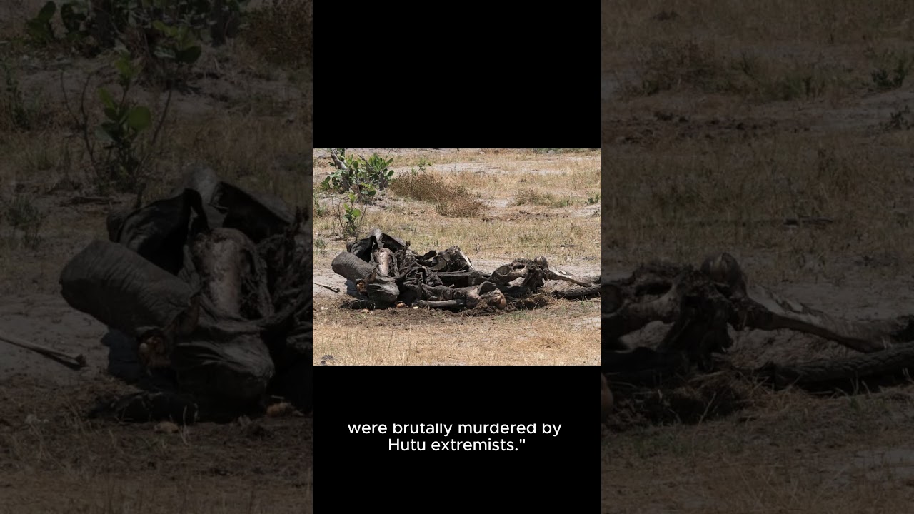 Remembering Rwanda: The Tragedy of the Rwandan Genocide"