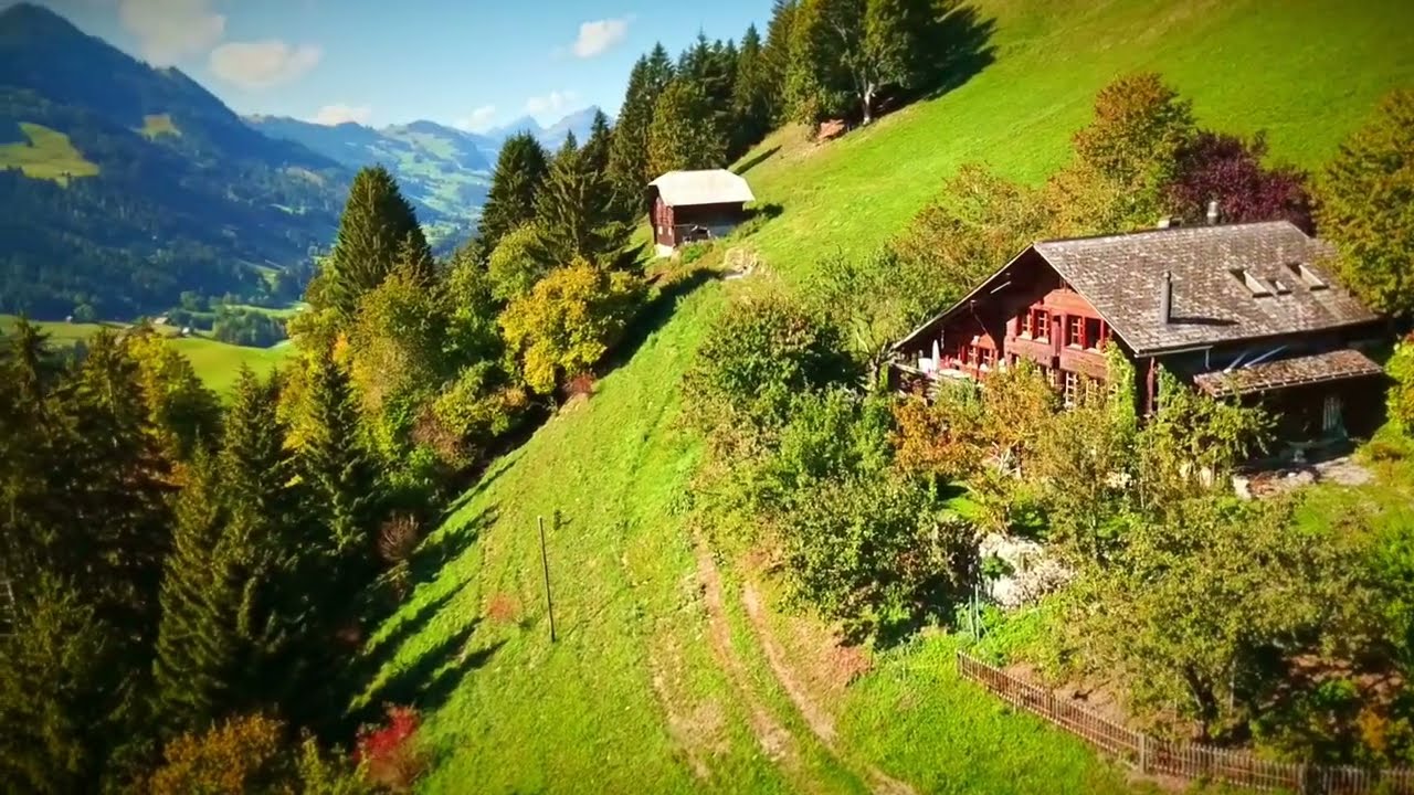 FOR SALE - Rougemont/Switzerland Chalet built in 1810