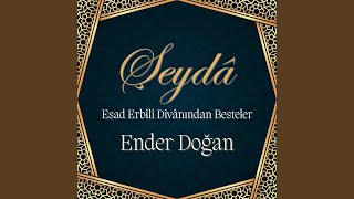 Tecellâ-yı Cemalinden Habib’im Nev-bahar Ateş — Ender Doğan kapak görseli