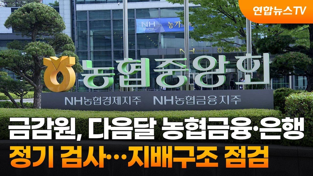 금감원, 다음달 농협금융·은행 정기 검사…지배구조 점검 / 연합뉴스TV (YonhapnewsTV)